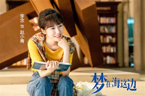 《梦在海这边》收官 大结局引发时代情感共鸣-电视-中国影视网-影视娱乐行业专业网站