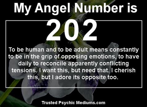 Angel Number 202 Meaning: Stay On Path - SunSigns.Org