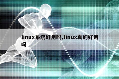 linux系统好用吗,linux真的好用吗|仙踪小栈