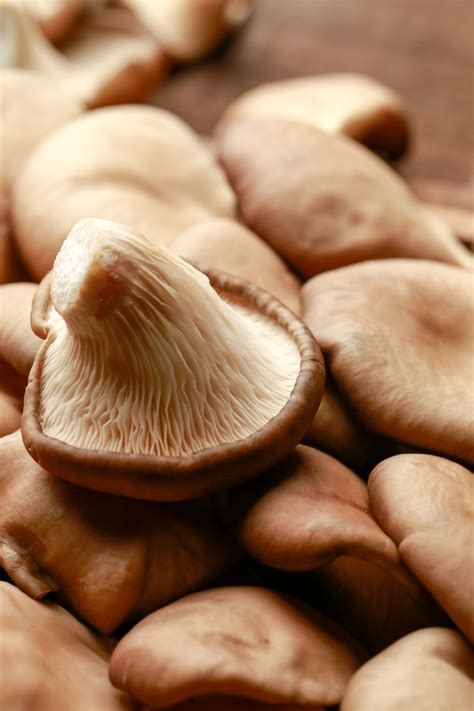 美味的香菇菜肴怎么做才好吃？