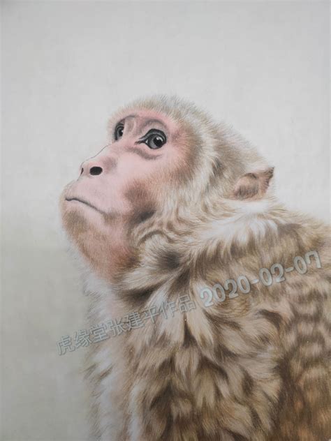 刘继卣 动物国画《猴子2》高清大图下载_大师名画网