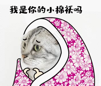 无辜表情包图片