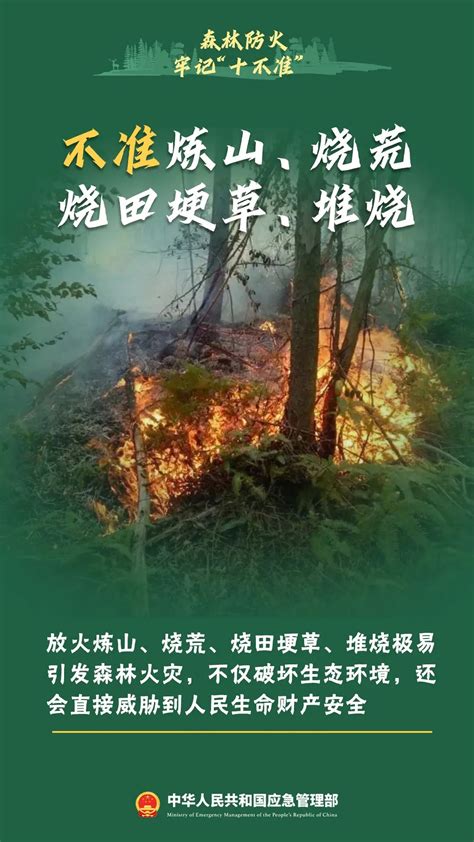 森林防火十不准十不要展板图片下载_红动中国