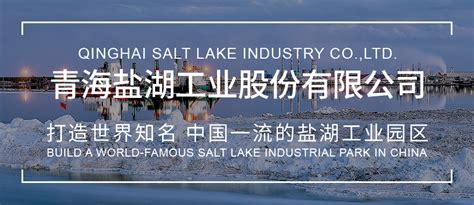 青海盐湖工业股份有限公司_质量月- 中国质量网