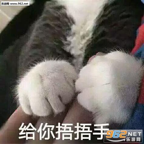 给你暖暖手 表情包图片 给你暖暖手 表情包图片