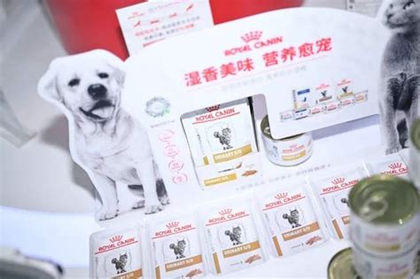 皇家宠物食品举办2019皇家科学营养大会__凤凰网