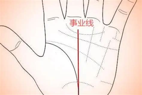 女生手掌纹路图解图片 女生手掌纹路图解图片