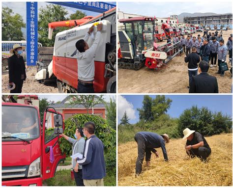 天水市大豆玉米带状复合种植机械化播种技术观摩培训会在定西市临洮县顺利举办(图)--天水在线