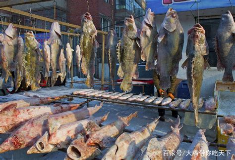 在东北卖鱼还需一手好的“木匠活”？连锯末都有大用处，全面人才|鱼|冷冻鱼|木匠活_新浪网