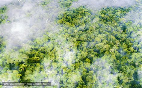 走进亚马孙热带雨林 探索神秘的“地球肺叶”_频道_凤凰网