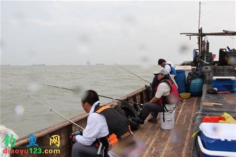 2021首届中国东营·国际湿地城市钓鱼公开赛10月9日开赛 - 图片新闻 - 中国网•东海资讯