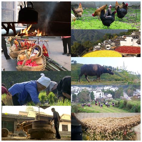 农业农村部：开展休闲农业和乡村旅游升级行动 - 乡村发现 - 新湖南