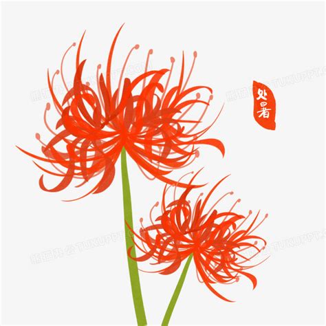 彼岸花动漫图片