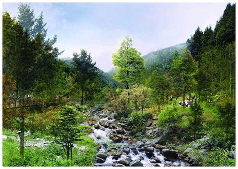 中国地理之卧龙自然保护区|卧龙自然保护区|珙桐|金丝猴_新浪新闻