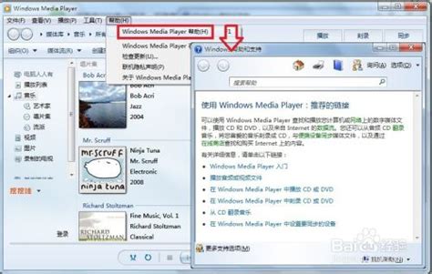 Windows Media Player_Windows Media Player下载-系统总裁|系统封装首席执行官