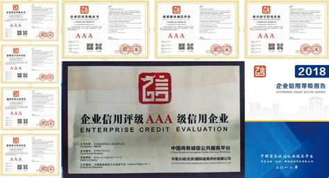 中国信用AAA企业认证标志设计图__其他图标_标志图标_设计图库_昵图网nipic.com