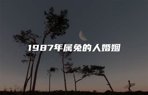 1987年属兔的人婚姻