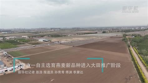 内蒙古一自主选育燕麦新品种进入大田推广阶段_凤凰网视频_凤凰网