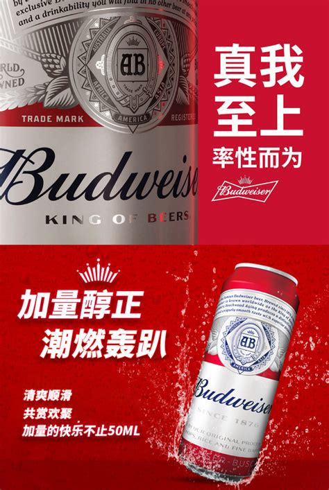 啤酒形象广告设计设计模板素材