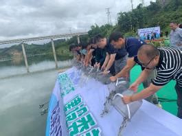 融水加快推进重大项目建设 - 广西县域经济网