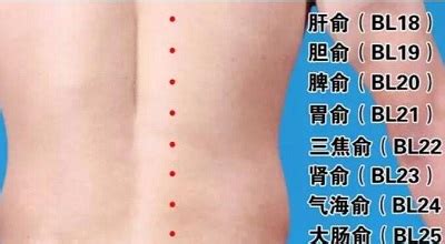 三伏贴的位置图图片