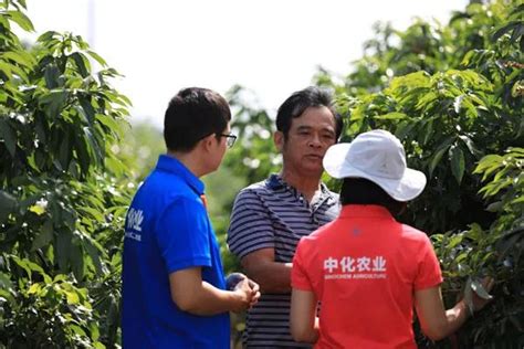 100项重大农业科技成果发布，四川上榜11项|四川省|农业科技_新浪新闻