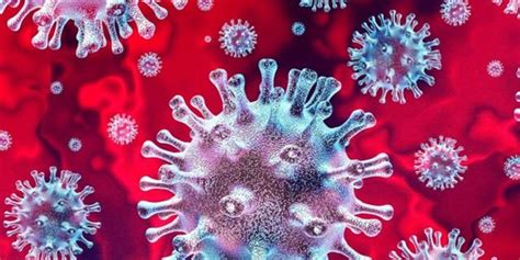 令英国“大惊失色”的新冠病毒变异，是怎么回事？_凤凰网