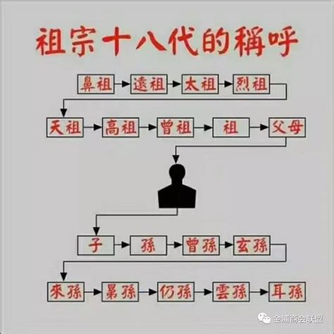 中国传统亲属关系图｜丧服制定，周礼：五服制度｜九族系表