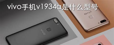 vivo y5s有屏幕指纹吗 vivoY5S手机可以使用屏幕指纹解锁码_知秀网
