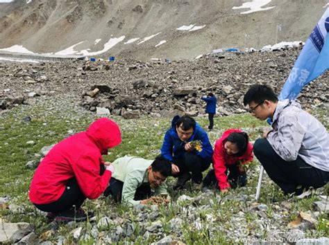 新疆生地所天山生物多样性科考队赴天山西段考察--新疆生态与地理研究所
