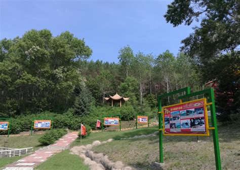 大兴安岭加格达奇国家森林公园-VR全景城市