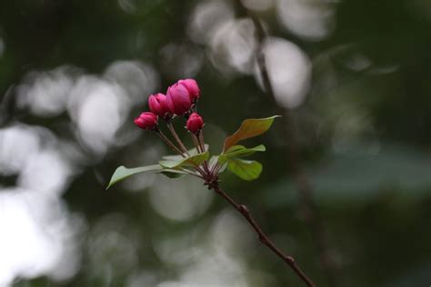 “解落三秋叶 能开二月花”记淹城遗址深秋 - 常州游记攻略【同程旅游攻略】