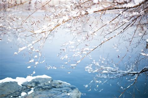 春雪|摄影|风光|pear1103 - 原创作品 - 站酷 (ZCOOL)