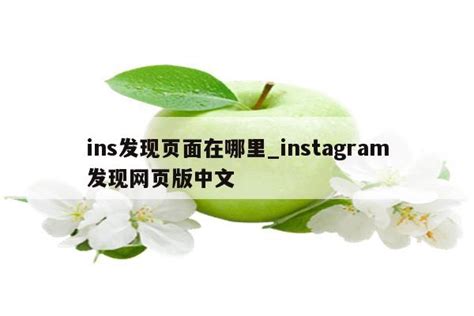 ins发现页面在哪里_instagram发现网页版中文 - INS相关 - APPid共享网