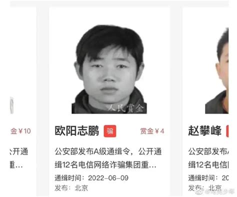 一名通缉犯的抓捕赏金仅4元？平台回应_澎湃号·政务_澎湃新闻-The Paper