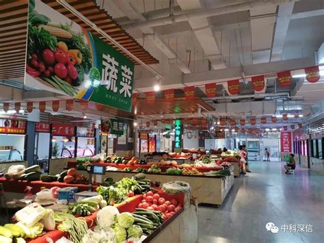 天津菜市场供应充足 价格稳定 - 头条轮播图 - 新湖南
