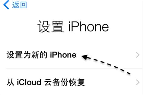 iphone id停用是什么意思（appleid停用怎么重新激活） – 碳资讯