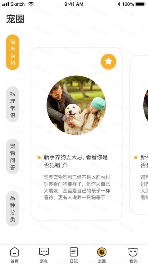 国内十大权威宠物交易网站，线上买狗买猫平台推荐_服务_波奇_人士