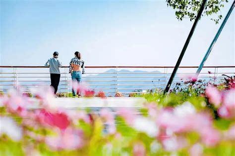 直达高山湿地秘境，俯瞰盐田港海景！深圳“山海专线”今天开通