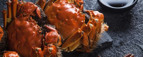 新鲜螃蟹的储存方法，螃蟹保湿是生存的一大因素 - 鲜淘网