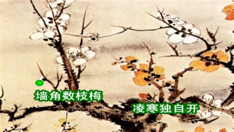 《梅花》：王安石的半山体，宋诗中的最高峰
