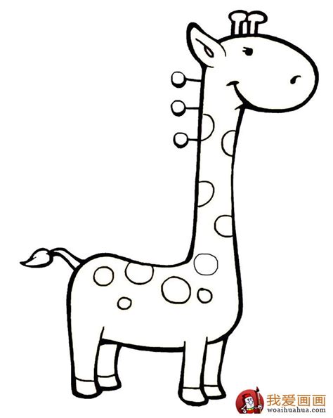 幼儿简笔画图片大全:卡通小动物长颈鹿