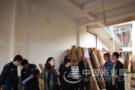 云南昭通鲁甸县对13家木材经营加工厂进行检查-中国木业网