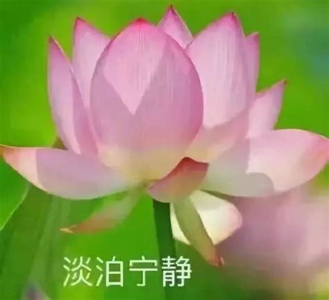 非主流温姓头像