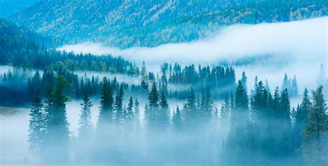 冬季森林壮丽的日落图片-冰雪覆盖下的森林日落素材-高清图片-摄影照片-寻图免费打包下载