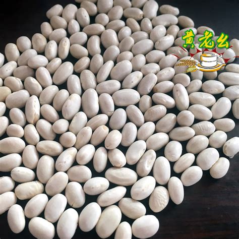 白芸豆提取物 Fabenol-食品商务网