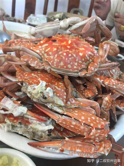 钦州海鲜是花多少钱都难以买到的美食体验 - 知乎
