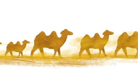 压死骆驼的最后一根稻草的意思 压死骆驼的最后一根稻草的意思是什么意思 - 天奇生活