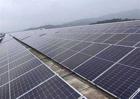 圆通揭阳集运中心光伏发电项目完工 年减碳超3000吨 --中国网财经- 太阳能发电网