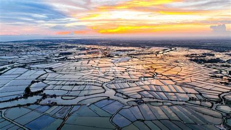 广西北海：大力发展特色水产养殖-人民图片网